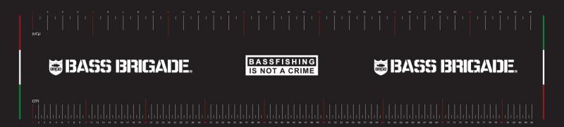 FISH SCALE CRIME