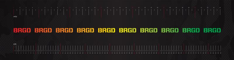 FISH SCALE BRGD FLUO