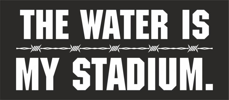 STADIUM STICKER