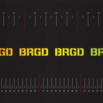 FISH SCALE BRGD FLUO