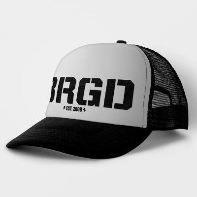 BRGD WHITE PANNEL TRUCKER